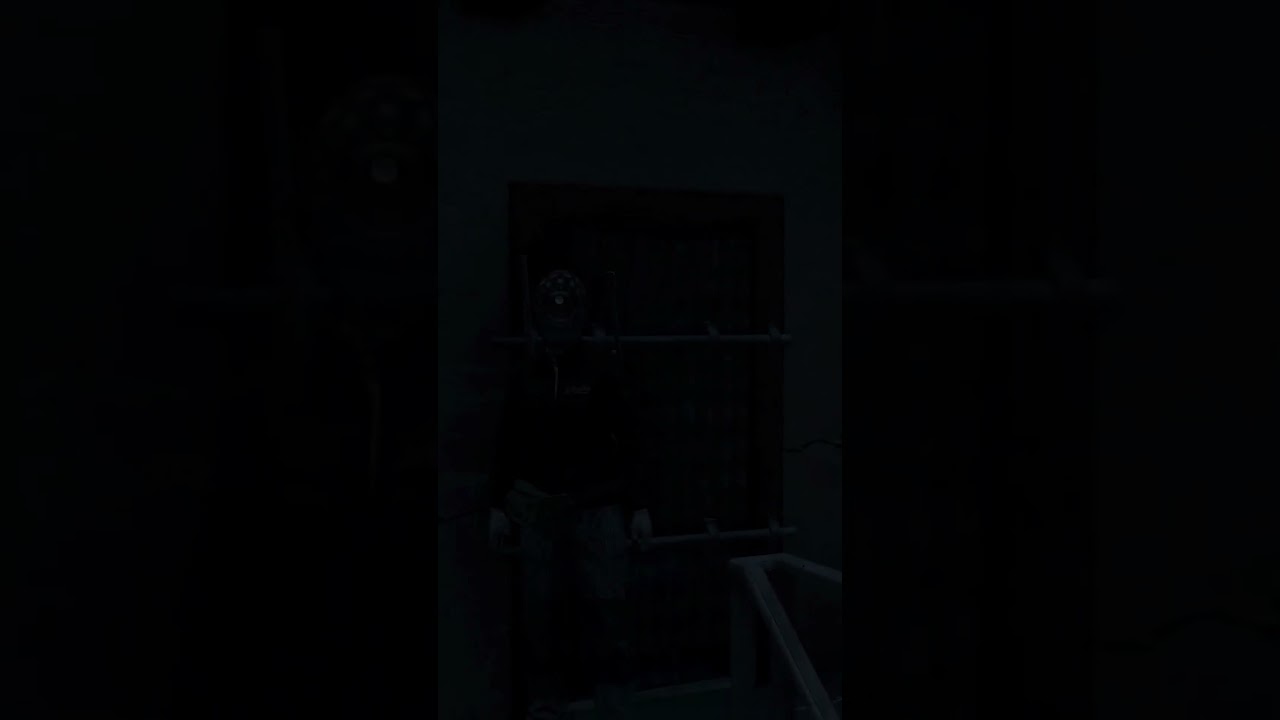 When Everything Goes Right in DayZ