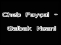 Cheb Fayçal - Galbak Nsani