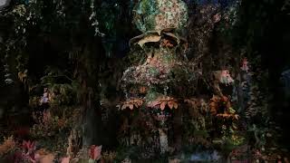 Droomvlucht Magical Dark Ride POV - Efteling