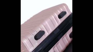 PailoxA53 Korean version portable suitcase 16 inch women cosmetic bag student portable cosmetic box