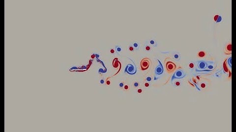 Undulatory swimming: cascaded lattice Boltzmann simulation