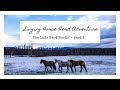 Singing Horse Herd Adventure - Heading North Part 1