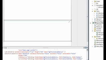 Entity Framework + RiaServices + DataForm Silverlight  3-3
