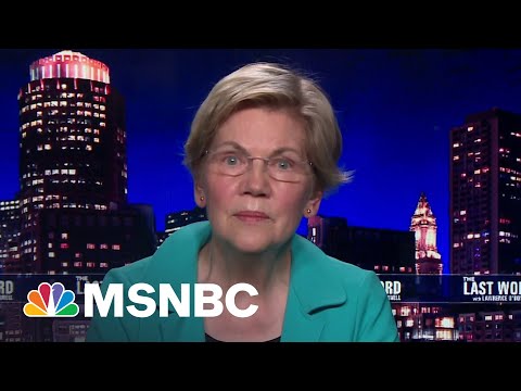 Sen. Warren On The Loss Of Her Oldest Brother To Covid-19 | The Last Word | MSNBC