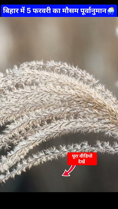 Bihar weather report। बिहार मौसम खबर।बिहार मौसम पूर्वानुमान। Bihar mausam samachar। #मौसम_की_जानकारी
