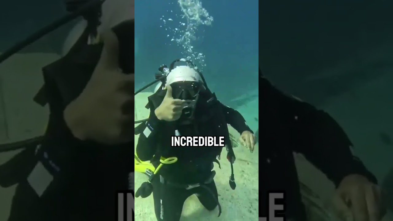 Beautiful Underwater Military Museum in Jordan