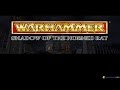 [Warhammer: Shadow of the Horned Rat - Игровой процесс]