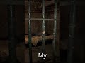 Resident freaky 😜 #residentevil