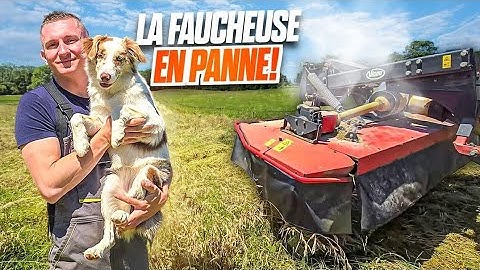 ENFIN LES FOINS 2024 !