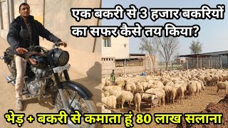 भेड़ बकरी पालन से सलाना कमाई 80 लाख रुपए ||  goat and sheep farming #बकरीपालन