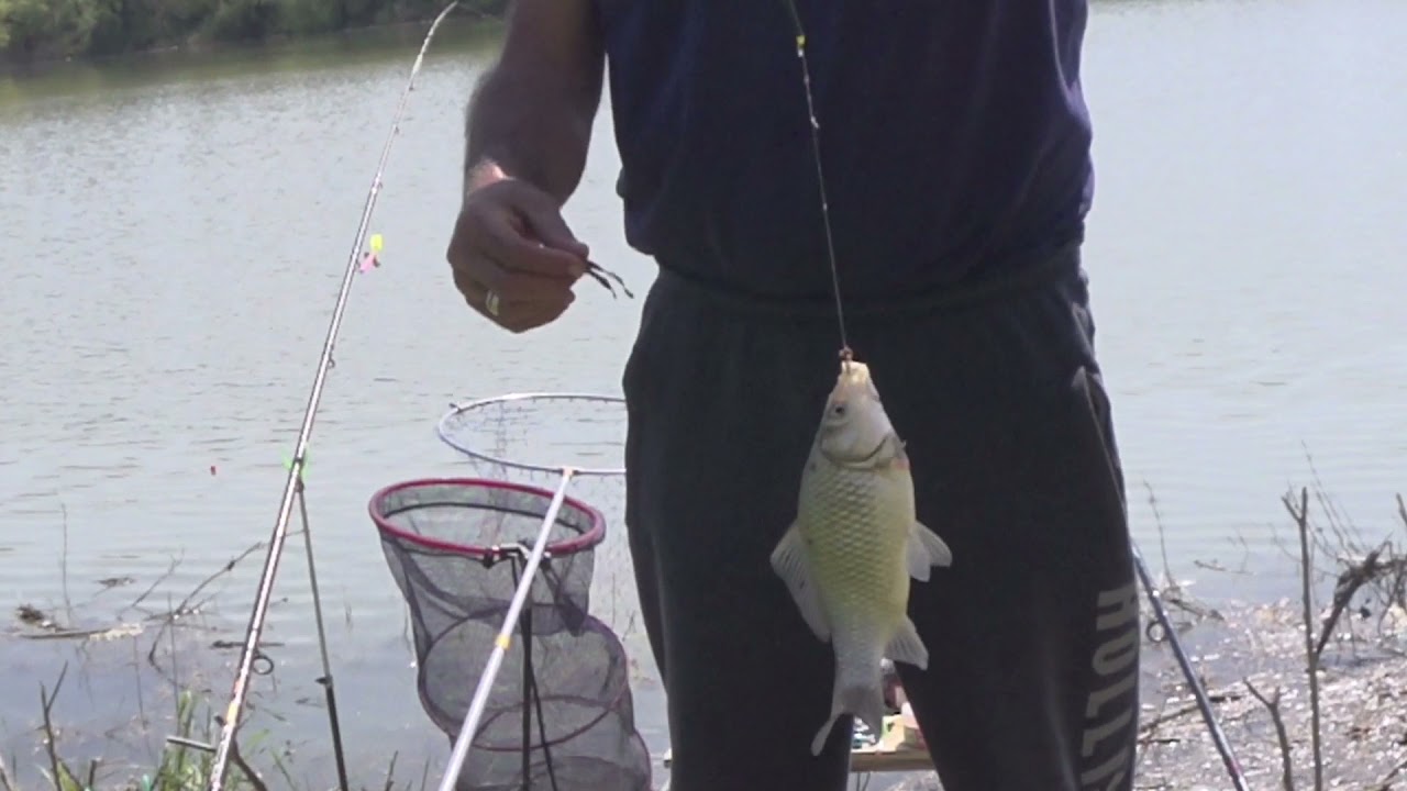 Рыбалка в Федоровской на фидер🦈