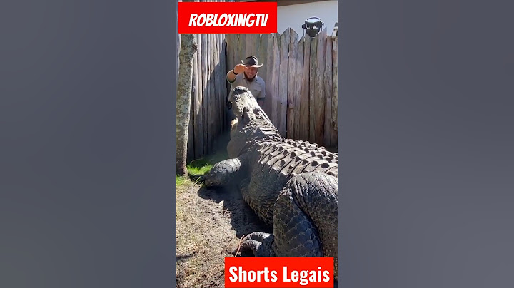 Veja o maior crocodilo aligator jacaré da história 🐊🦖🦕🦎