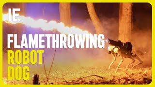 Flamethrowing Robot Dogs Available in US - Meet 'The Thermonator' by Interesting Engineering 2,862 views 5 days ago 1 minute, 30 seconds