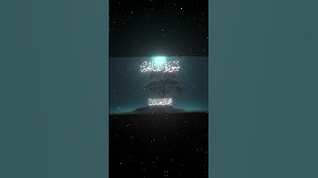 سورة الفاتحة|2-7|القارئ:#محمد_اللحيدان #قران #quran #راحة_نفسية #قران_كريم #تلاوة_هادئة #تلاوة_خاشعة