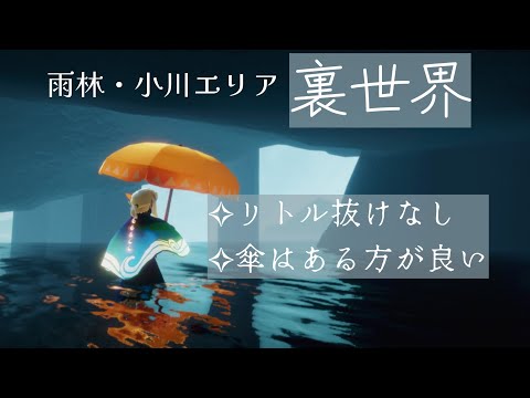 【Sky】リトル抜けなしで雨林小川エリアの裏世界へ