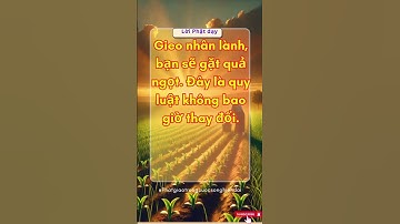 Phật pháp dạy: Quy luật nhân quả trong cuộc sống