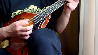 Kentucky KM-505 Artist A-model Mandolin – Amberburst