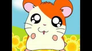 Hamtaro Japanese theme Song