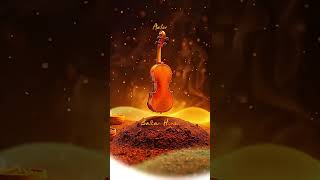 Aeter | Balkan House #Shorts