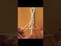 Makramee Amaryllis Aufhängung 🌺 Macrame Plant Wall Hanging
