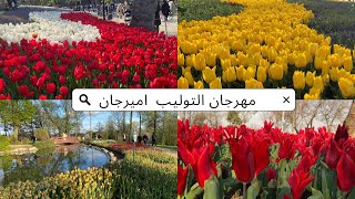 مهرجان التوليب🌷بحديقة اميرجان مع شرح كيفية الذهاب لحديقة اميرجان من تقسيمEmirgan korusu