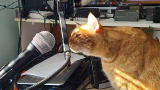 Live Shortwave radio stream Saturday June 12th 2021