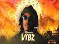 Dj Wild - Mixtape Vybz 2024 - 2025