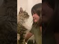 【癒し】愛猫からの愛が止まらない！イチャこら！ラヴ上等！