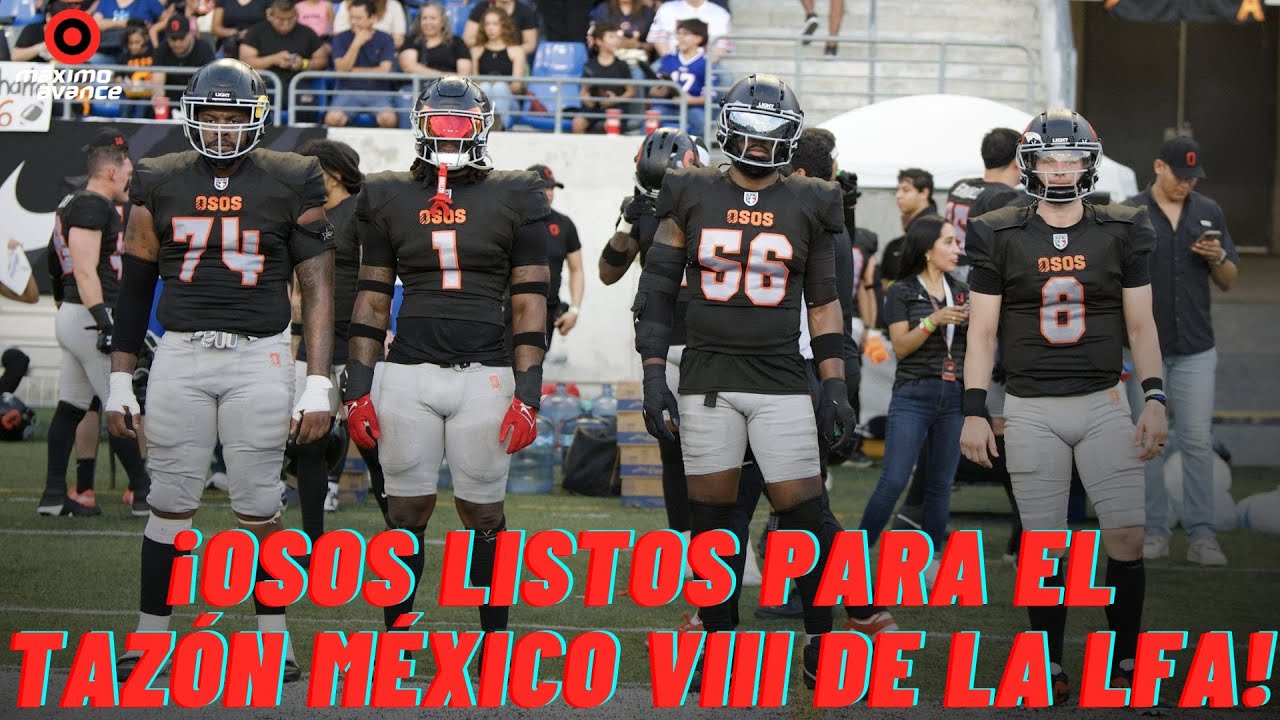 ¡Los OSOS de MONTERREY están LISTOS para el TAZÓN MÉXICO VIII ...