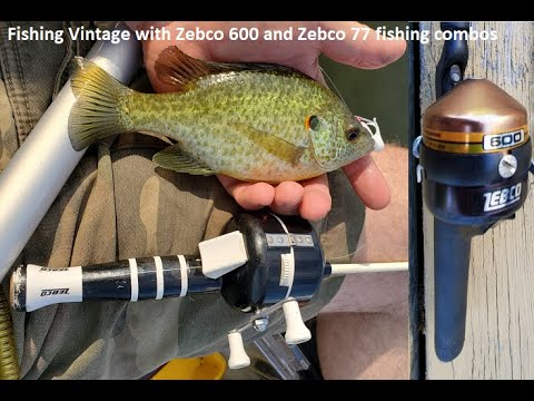 Fishing with Vintage Zebco 600 and Zebco 77 