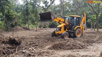 JCB Backhoe Clearing Forest Ground To Plant New Baby Tree