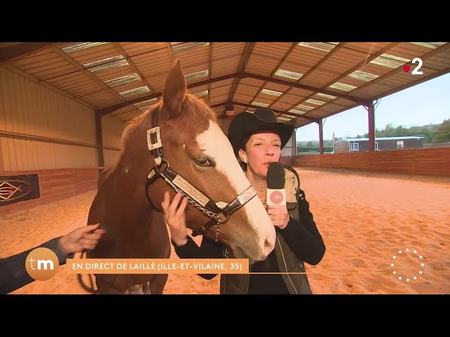 La pratique de l'équitation western à Laille // Fenêtre sur les régions  - Télématin - France 2