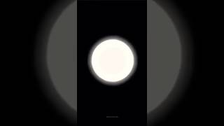 Main Tera Hero Galat Baat Hai Full Video Song I Varun Dhawan, Ileana Dc Nargis Fakhri