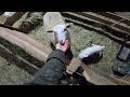 ЯГНЯТА УМИРАЮТ! ПОПОЛНЕНИЕ И ПОТЕРИ В ХОЗЯЙСТВЕ !