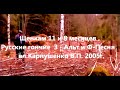 Щенкам 11 и 8 месяцев . Русские гончие  З - Альт и Ф-Песня  вл.Карпушенко В.П. 2005г.