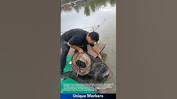 Fishing for beginners: a simple guide to catching fish