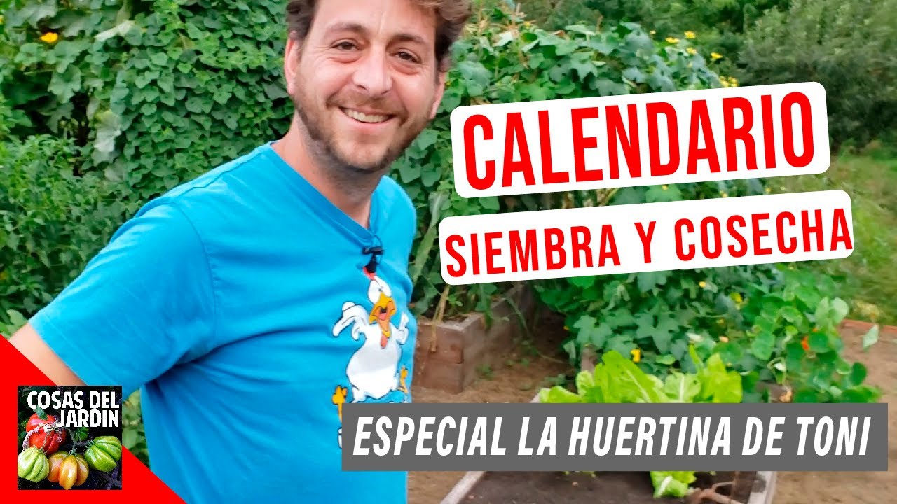 LA HUERTINA DE TONI ME ENSE�A SU CALENDARIO DE CULTIVO PARA TODO EL A�O. SEMBRAR Y COSECHAR