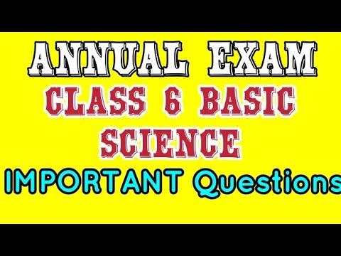 Class 6 basic