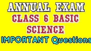 Celebrity Class 6 basic science annual exam question paper 2023 #class6 #basicscience #annualquestion #basics Wealth