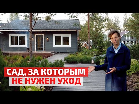 Видео: Уход за ландшафтом Гуахильо: узнайте о кустарниках акации Гуахильо