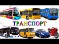 Городской транспорт и Железная дорога развивающее видео. Игрушки поезда для детей и вагон Метро