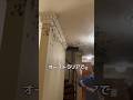 オーストラリアで家を空けたら大変なことになります😱