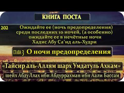 Какие дуа читать в ночь предопределения. Хадисы про ночь предопределения. Последние 10 ночей Рамадана хадис. День предопределения в Исламе. Хадисы про ночь предопределения в Исламе.