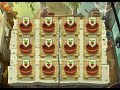 PvZ 2 Zen Garden - Growing Marigold from seed to fully grown