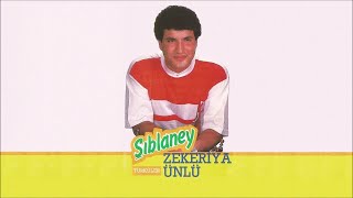 Zekeriya Ünlü - Dolana Ay Dolana (Official Audio)