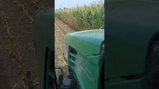 Koszenie kukurydzy na kiszonkę i siew rzepaku. 😁#automobile #farming #agriculture #machine