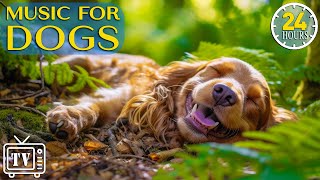 24 Hours of Deep Calming Music for Dogs with Anxiety: FastSleep Music & Stress Relief For Dogs