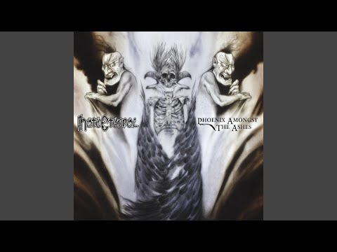 Thorns of Acacia