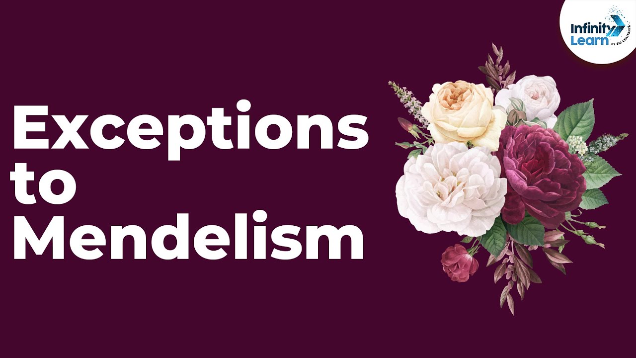 Genetics Exceptions To Mendelism Lesson 7 Don t Memorise YouTube Genetics Exceptions To Mendelism Lesson 7 Don t Memorise YouTube