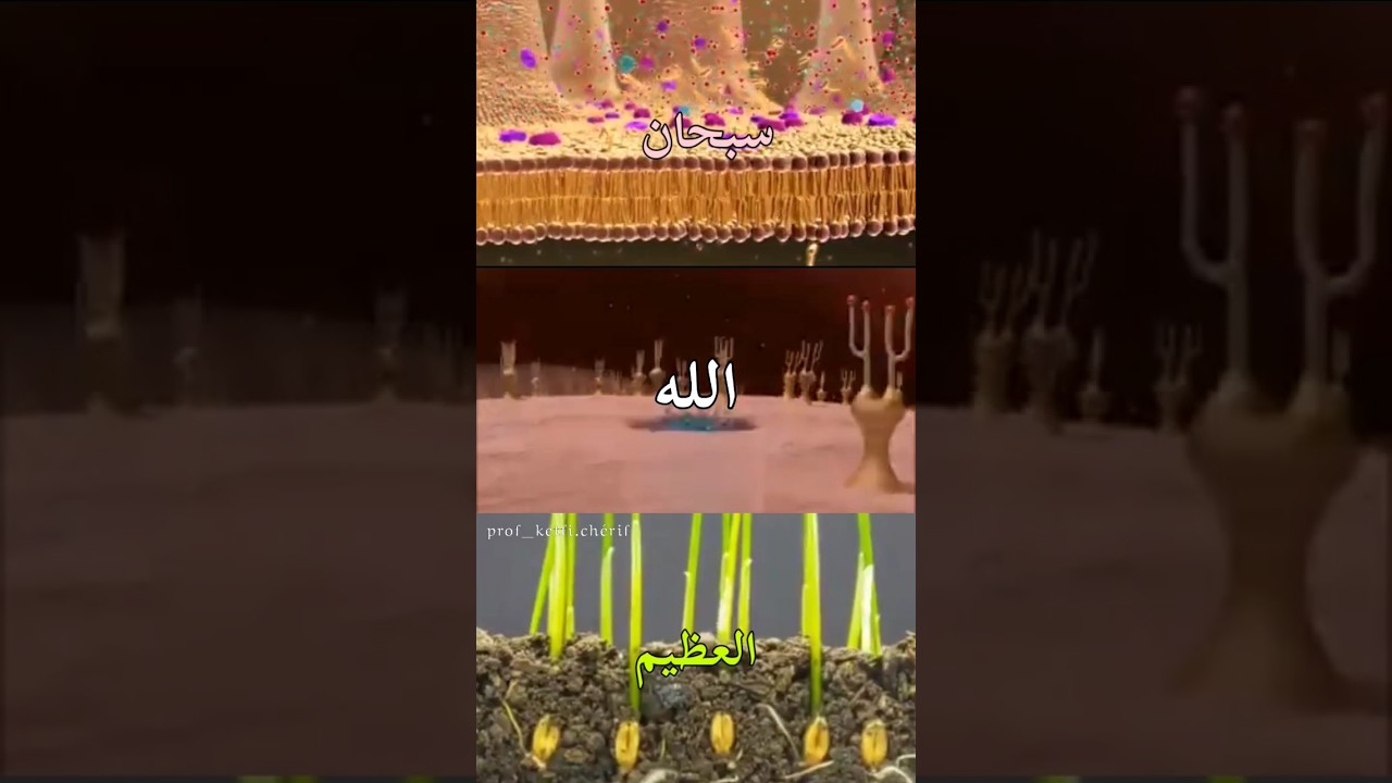 اللهم يا فتاح